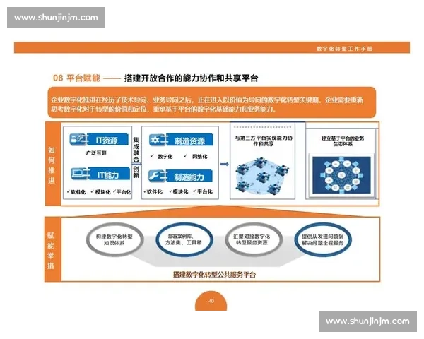 以使命与愿景为导向推动企业持续创新与发展的战略路径探讨